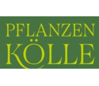 Fr&uuml;hlingsaktion