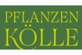 Fr&uuml;hlingsaktion