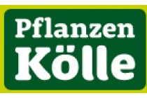 Pflanzen Kölle